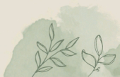 decorative image